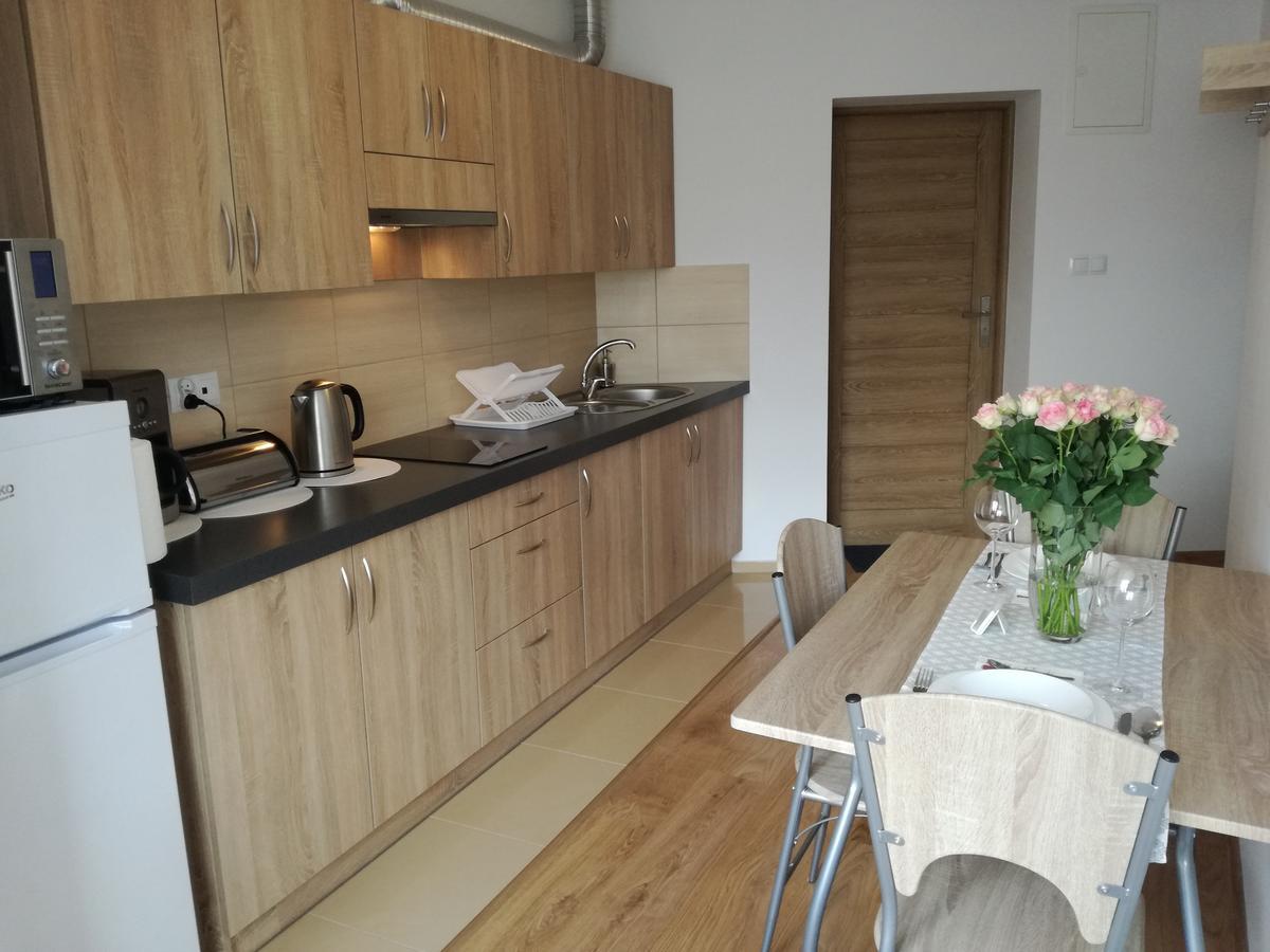 Apartamenty Interdom Закопане Екстериор снимка